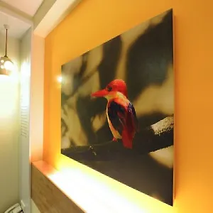 ** Hotel Kk Malaysia